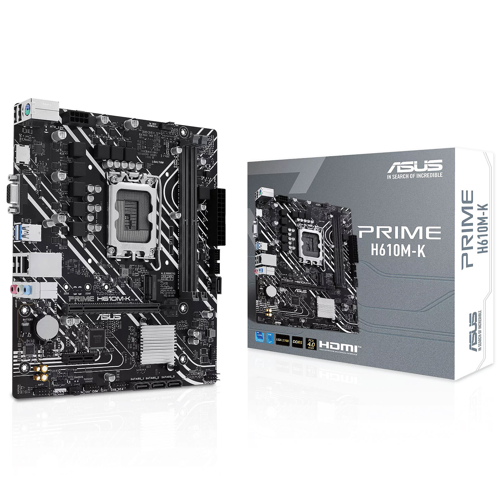 CARTE MERE ASUS PRIME H610 M-K DDR5