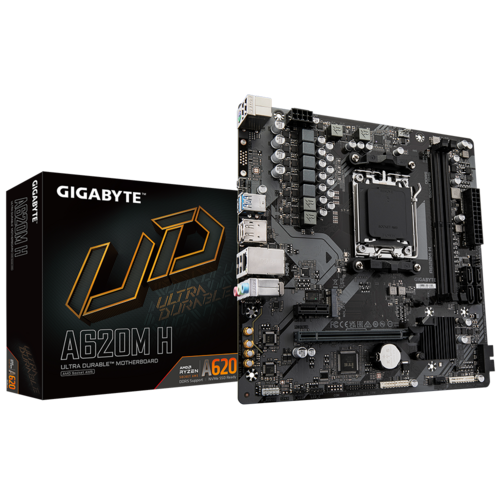 CARTE MERE GIGABYTE A620M H